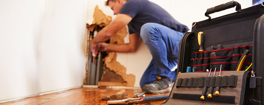 Tips for Choosing a Water Damage Company