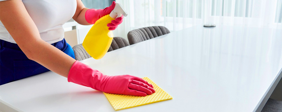 importance of sanitization services