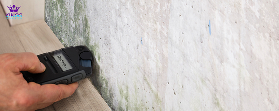Mold Inspection