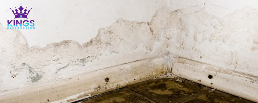 Best Way to Get Rid of Mold