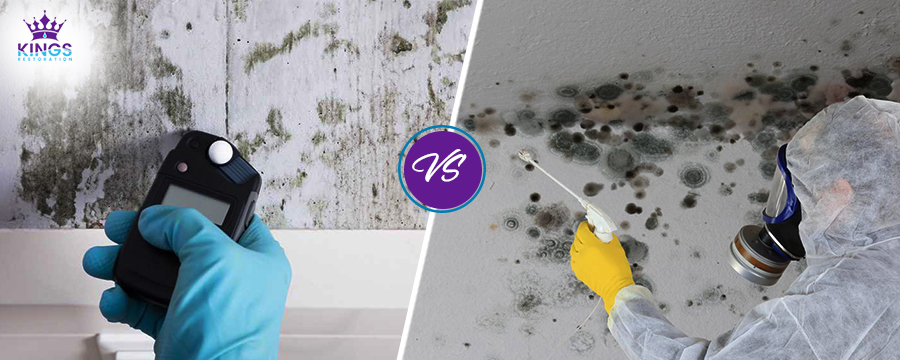 DIY Mold Testing vs Professional Mold Testing