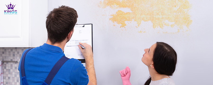 Need a Mold Inspection Service