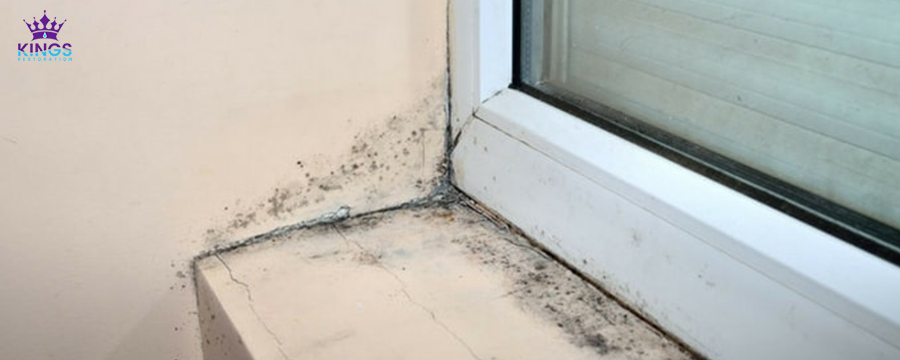 remove mold