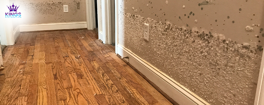 residential water damage restoration