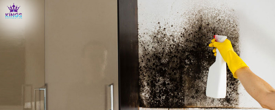signs of black mold in the house