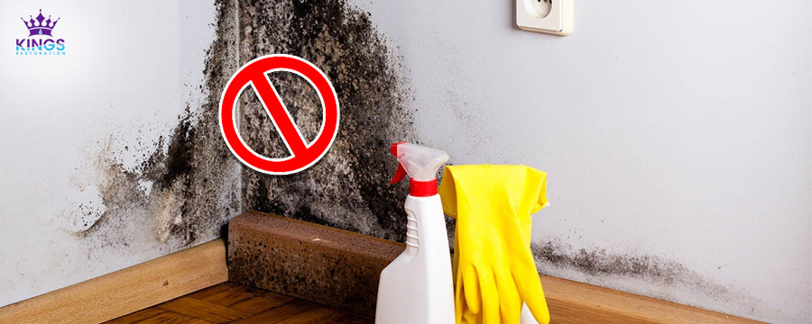 mold free home