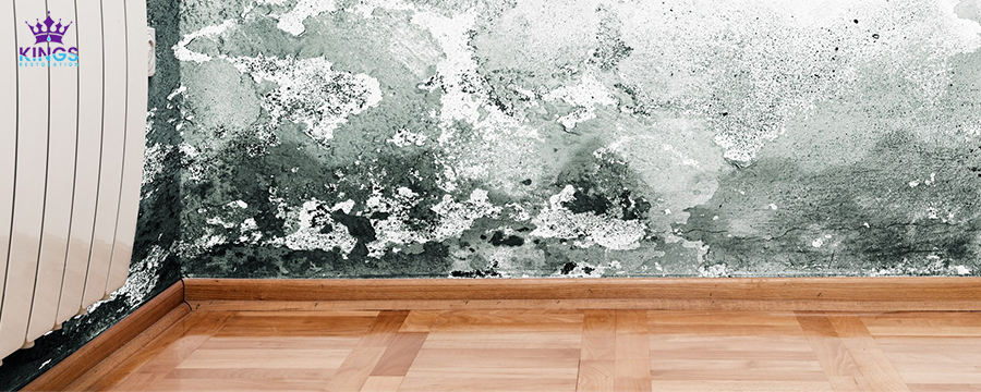 symptoms of mold expoaure